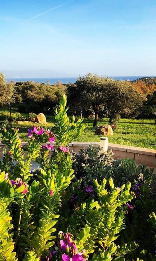 Cala Azul Residence B&B Alghero Exteriör bild
